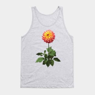 Dahlia Normandy Zachery Tank Top